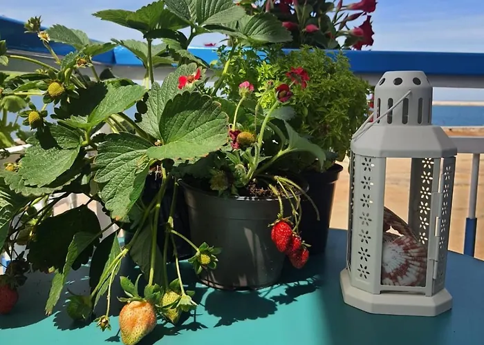 Amare - Apartamento *